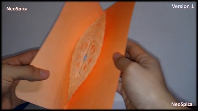 Paper Pop-up Card Half Circle Expandable Structures смотреть онлайн