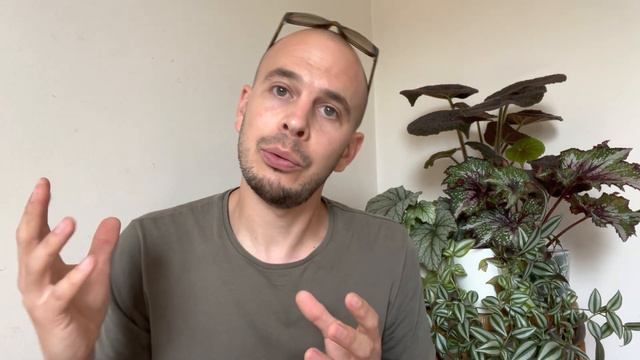 How To Fertilize Your Garden Plants | When & Why 🌱🪴