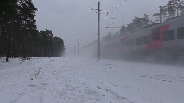 Встреча двух скоростных электропоездов "Ласточка" у о.п. Заря. смотреть онлайн