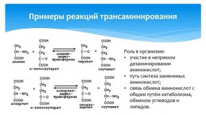 ОБЩИЕ ПУТИ ОБМЕНА АМИНОКИСЛОТ