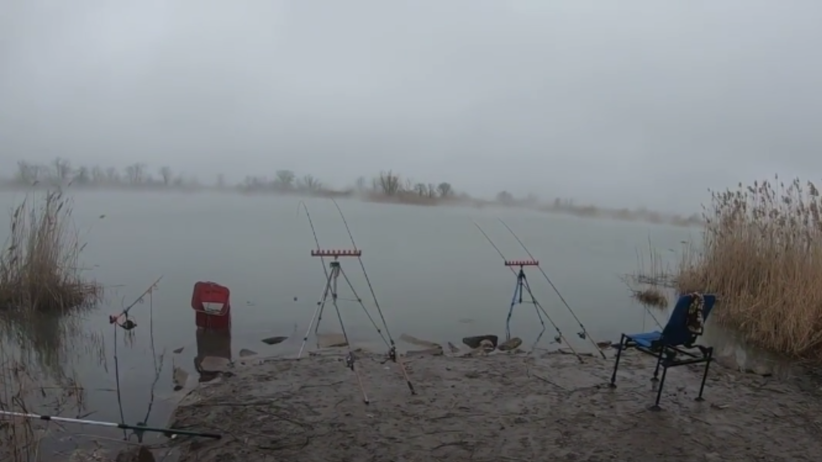 РЫБАЛКА НА ТЕПЛОМ КАНАЛЕ. ВОЛГОДОНСК. ЛОВЛЯ КРУПНОГО НОЧНОГО ЛЕЩА. смотреть онлайн