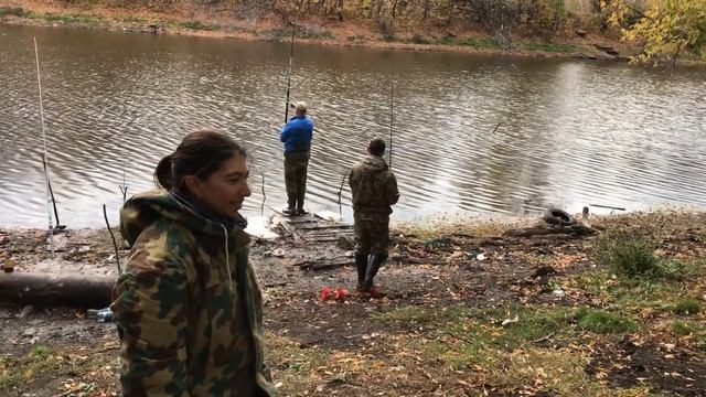 Моржи ловят рыбу смотреть онлайн