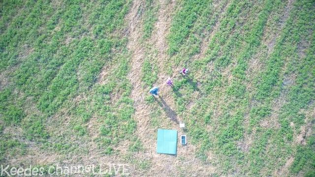 Едем на рыбалку. Котик Рыжик ловит рыбу смотреть онлайн