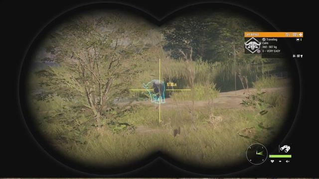 Vurhonga Savanna Cape Buffalo Guide + A Leucistic Female Buffalo! TheHunter Call Of The Wild смотреть онлайн