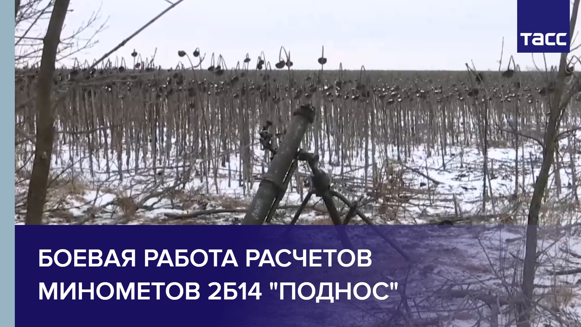 Боевая работа расчетов минометов 2Б14 "Поднос"