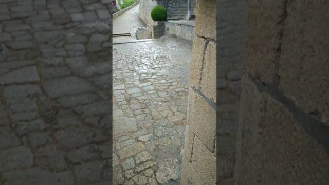 Маки. смотреть онлайн