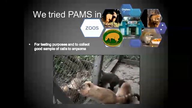 Bioacoustics as a tool for conservation of the maned wolf and the coati смотреть онлайн