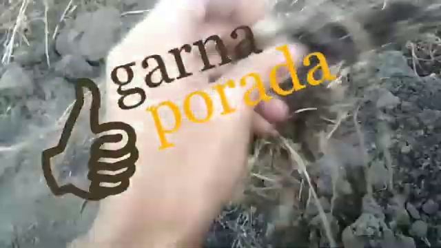 Искусство и Умелые Руки