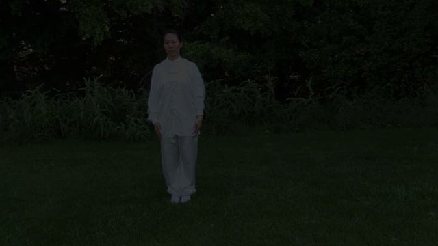 Yi Jin Jing FULL 12 Form Qi Gong