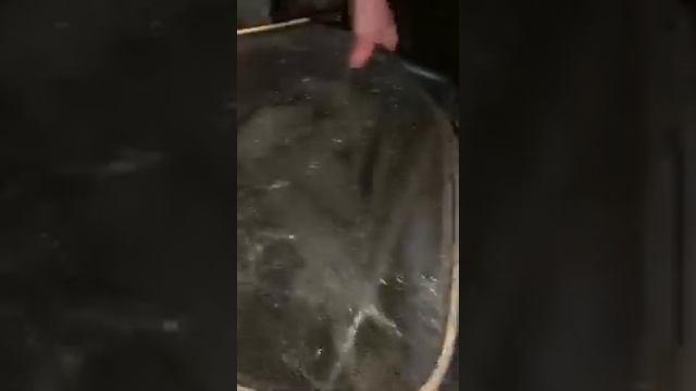 Купить малька форели просто! смотреть онлайн