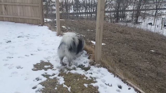 Lulu day training 3.1.19 смотреть онлайн