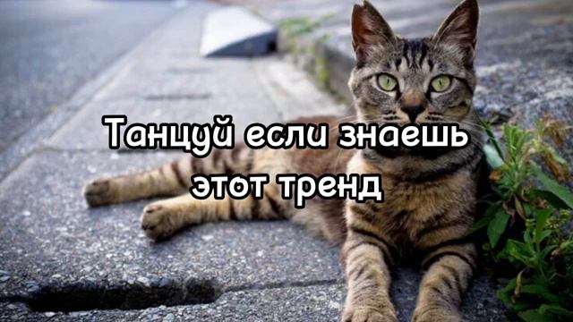?Танцуй Если Знаешь Этот Тренд 2023 года? смотреть онлайн