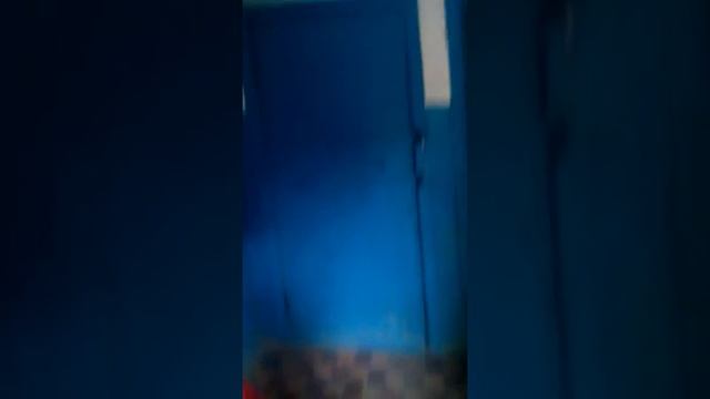 Бешеный енот #2 смотреть онлайн