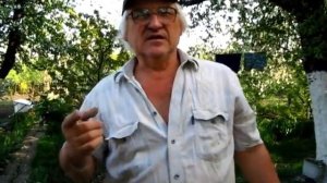 Что нужно знать перед побелкой стен дома известью