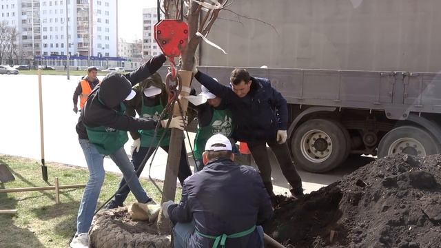 Нефтекамск. "Посади дерево - подари жизнь". смотреть онлайн