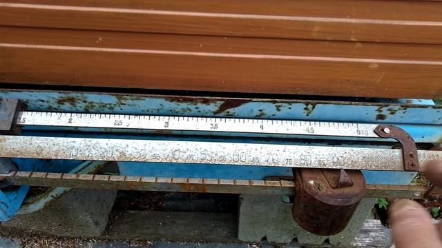 Осенние медоносы Подмосковья смотреть онлайн