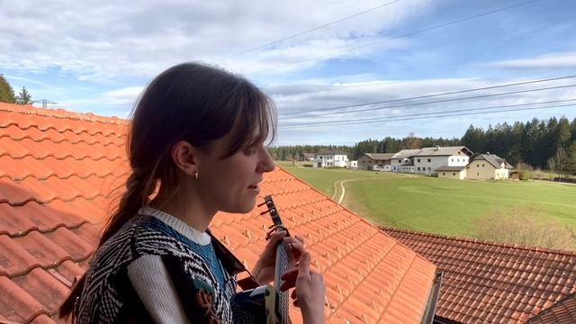 Always look on the bright side of life - Monty Python (Cover) смотреть онлайн