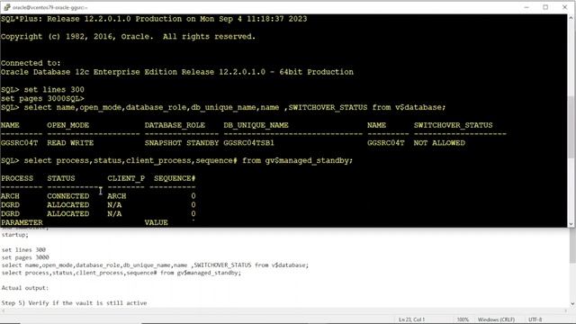 Procedure to disable database vault in oracle snapshot standby database смотреть онлайн