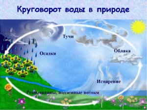 Круговорот воды в природе.