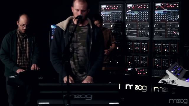 Lost in the Trees | Past Life | Moog Sound Lab смотреть онлайн