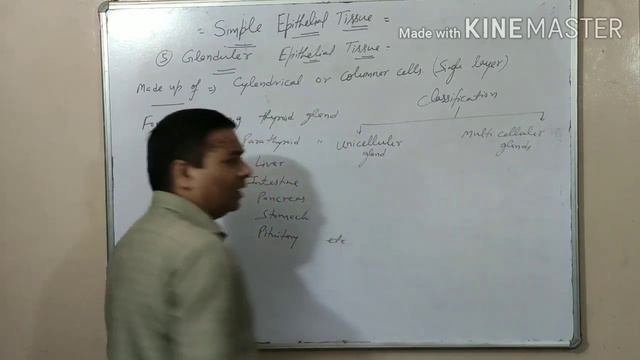 EPITHELIAL TISSUES BY DR. PAVAN GUPTA смотреть онлайн