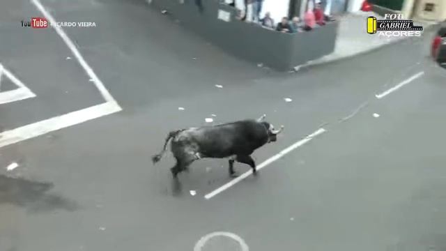 Лучшие корриды 2018 года (часть 5) Terceira Island AZORES смотреть онлайн