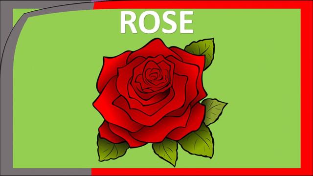 Flowers - Rose, Lavender, Iris | Learn Flowers with Repeat After Me | Kids Songs смотреть онлайн