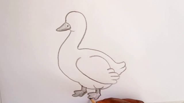 how to draw duck drawing || duck drawing easy || pencil drawing@DrawingTalent смотреть онлайн