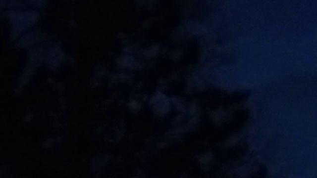 Охота на Глухаря на току -Глухариный Ток смотреть онлайн