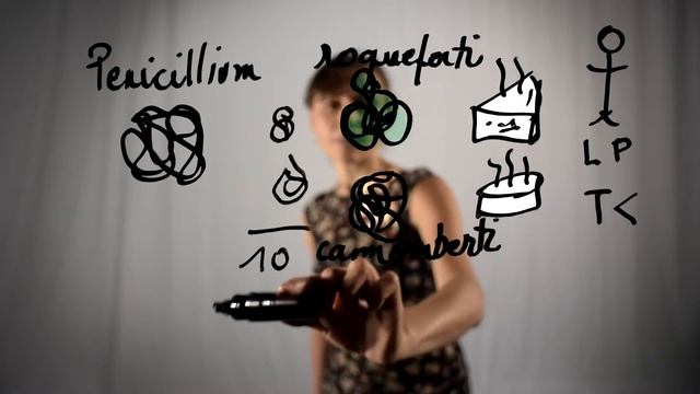 Un peu de Penicillium sur votre fromage ? смотреть онлайн