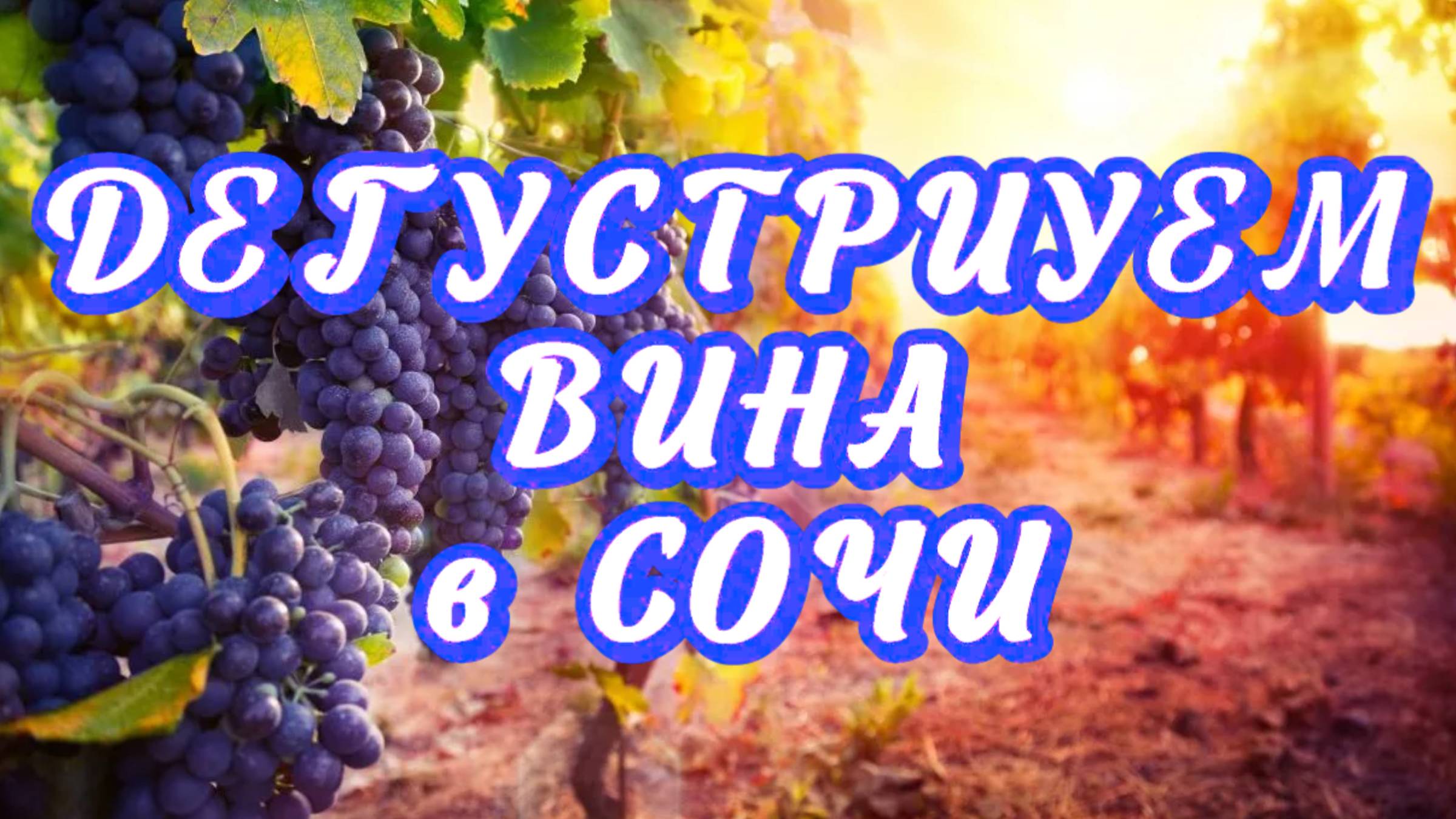 ДЕГУСТАЦИЯ ВИНА на частной винодельне в СОЧИ (АДЛЕР)// Когда время проходит весело и по-домашнему 🤩 смотреть онлайн