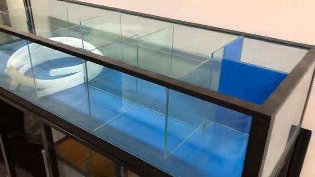 Аквариум для раков морепродуктов краба устриц ежа гребешка в ресторан магазин смотреть онлайн