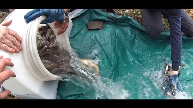 Песня "Дневник рыболова" Про РЫБАЛКУ!!! смотреть онлайн