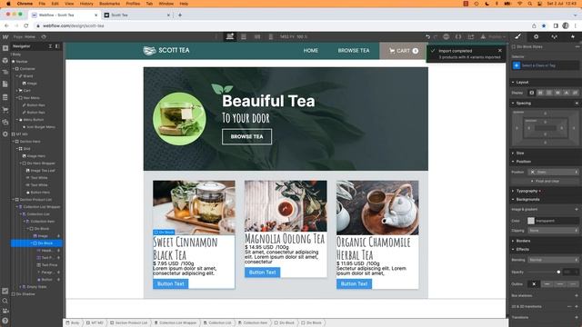 Free Webflow Tutorial | Create Your First Website from Scratch with Dan Scott! смотреть онлайн