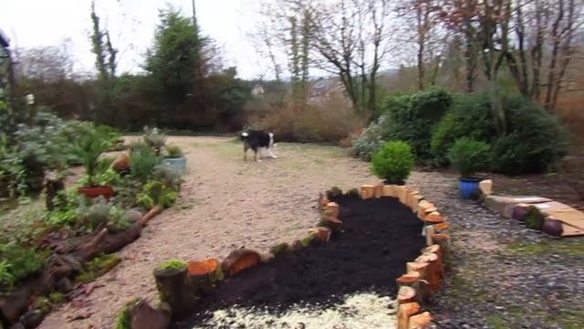 Winter Pruning and Coppicing Hazel, Willow and Cotoneaster смотреть онлайн