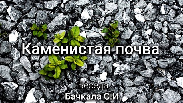 Каменистая почва Бачкала С И Беседа МСЦ ЕХБ ПРОПОВЕДЬ 2020 смотреть онлайн