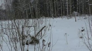 Охота на волка часть 3