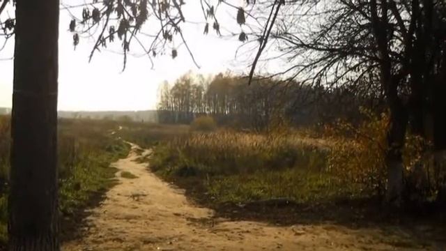 Нивы сжаты, рощи голы романс на стихи Есенина смотреть онлайн