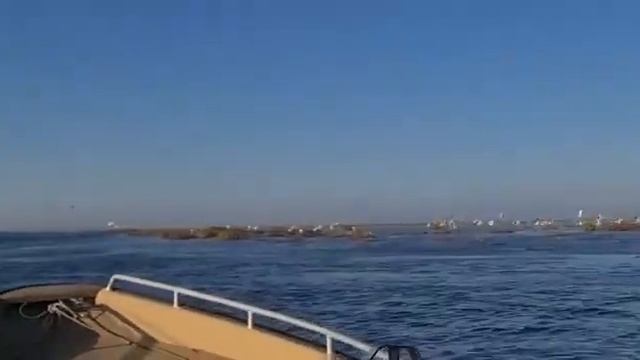 ЧТО ЗА ПТИЦЫ??? ВОДНЫЕ ПРОГУЛКИ В ДЕЛЬТУ ВОЛГИ. АСТРАХАНСКАЯ ОБЛАСТЬ, БАЗА ОТДЫХА FICH-CLUB смотреть онлайн
