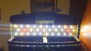 Как я сделал освещение для аквариума