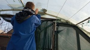 РЕМОНТ ТЕПЛИЦЫ | ЛОПНУЛА И ПОРВАЛАСЬ ПЛЕНКА НА ТЕПЛИЦЕ | БЮДЖЕТНЫЙ ВАРИАНТ РЕМОНТА ТЕПЛИЦЫ