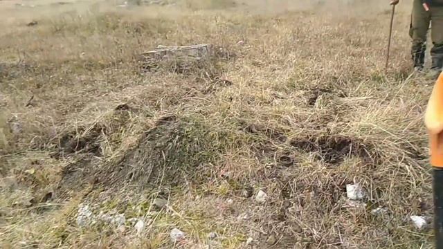 Коп не отходя от машины с ТХ- 850! смотреть онлайн