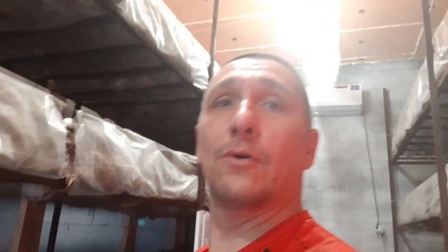 40 Дней Инкубации - ЧТО БУДЕТ ??? Станислав и Часть 2 смотреть онлайн