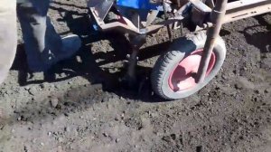 сеем лук мотоблоком