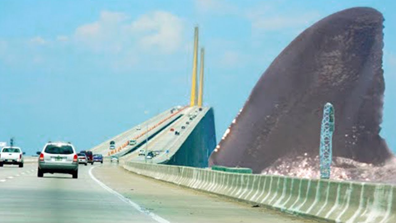 Это Самый Большой Мегалодон Заснятый на Камеру смотреть онлайн