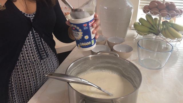 Homemade Yogurt | Mamata's Essence