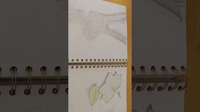 Sketch Book Final 40 смотреть онлайн