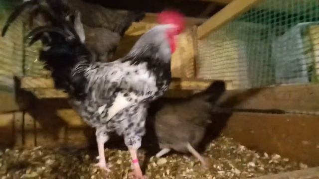 Котляревская смотреть онлайн