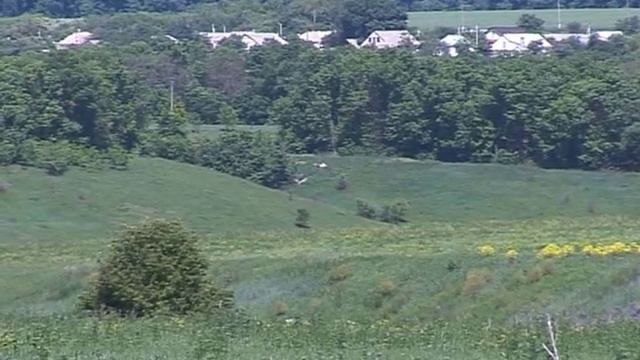 Сибирская язва напомнила о себе смотреть онлайн