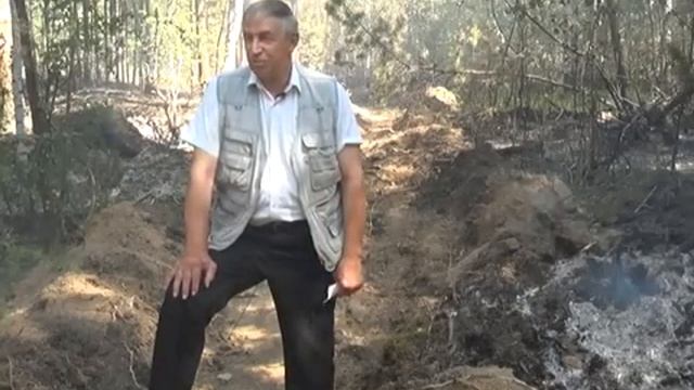 Последствия грозы и града